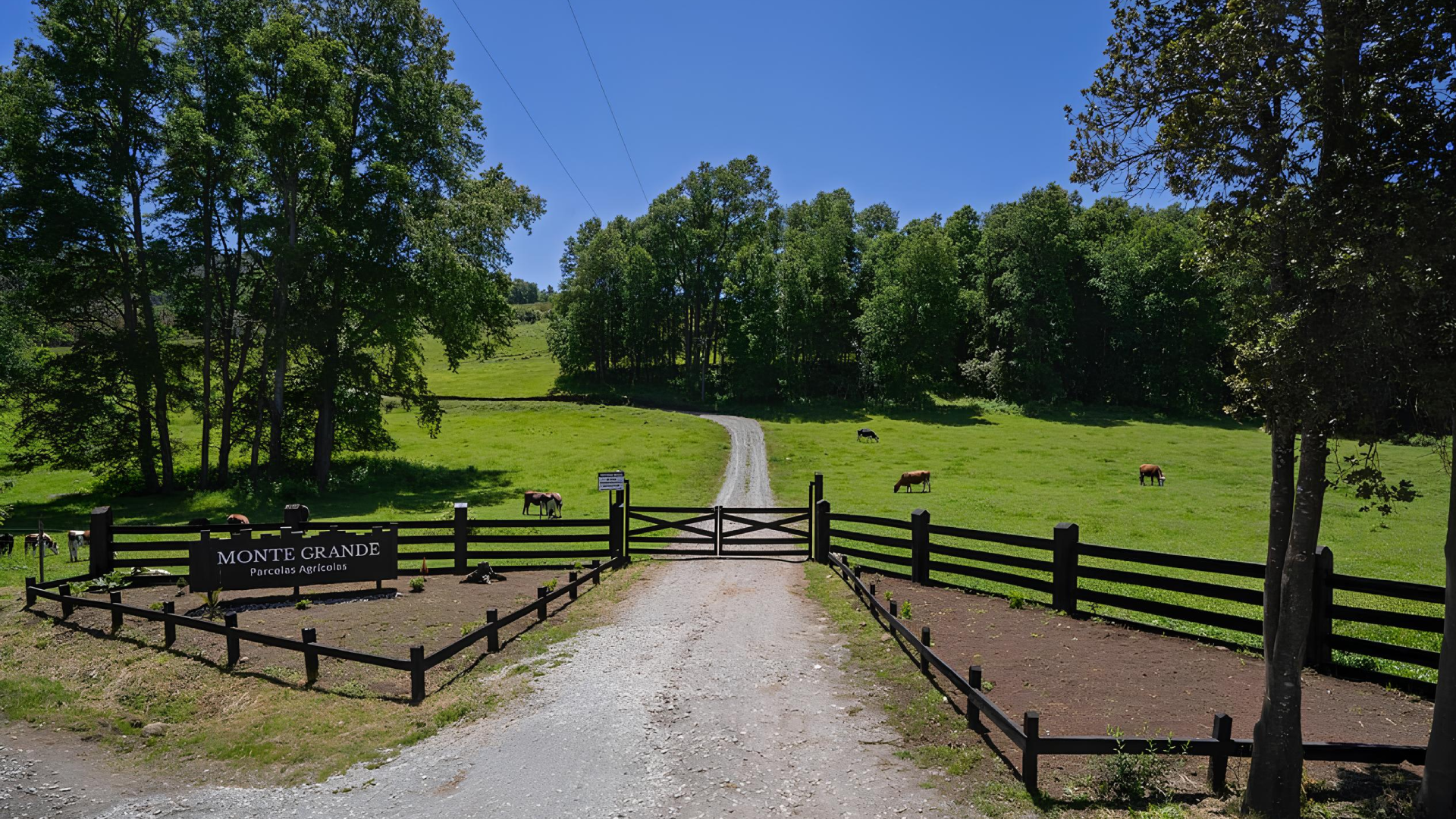 5-50 Acres Homesteads