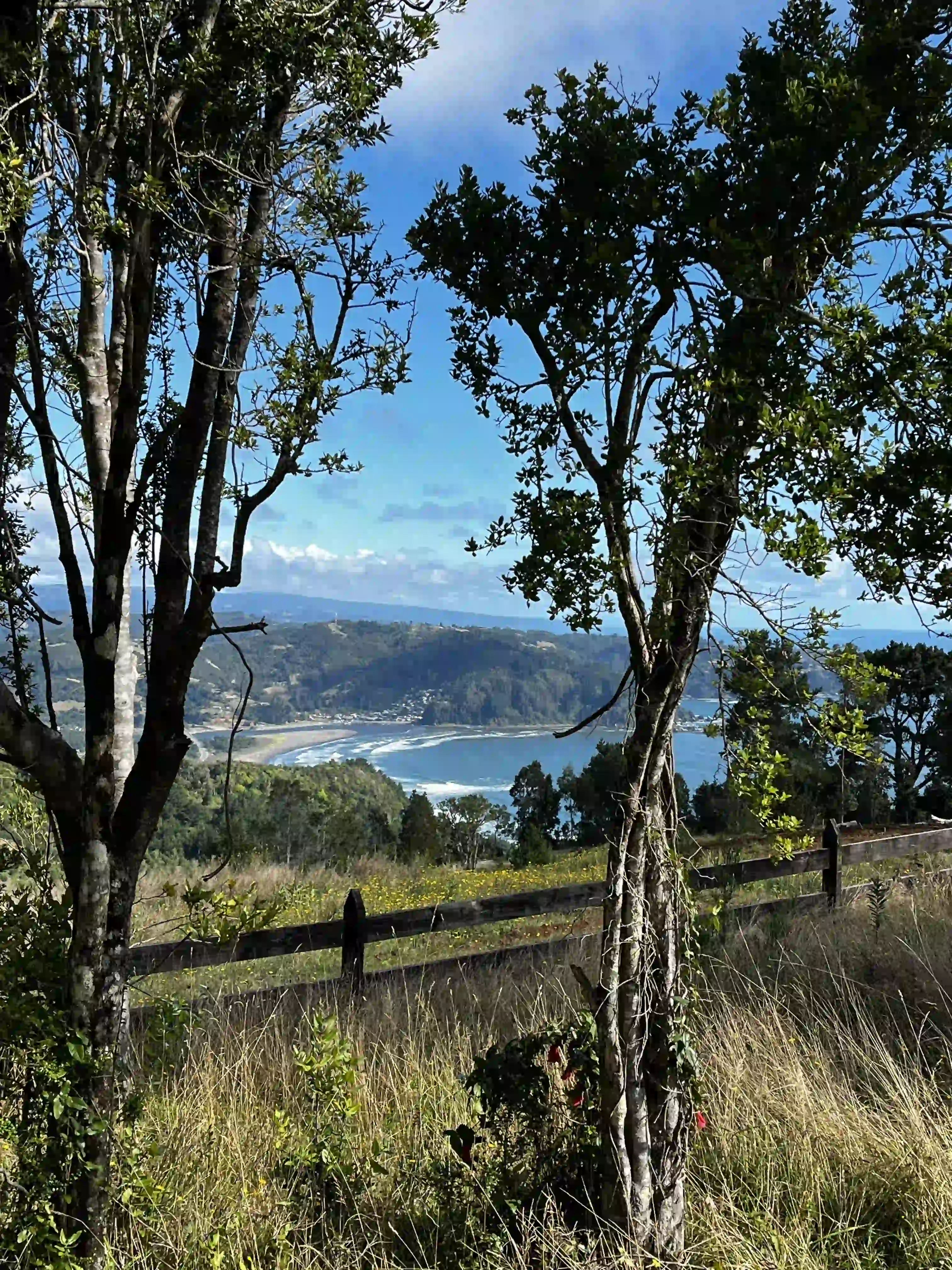 50+ Acres Legacy Ranches