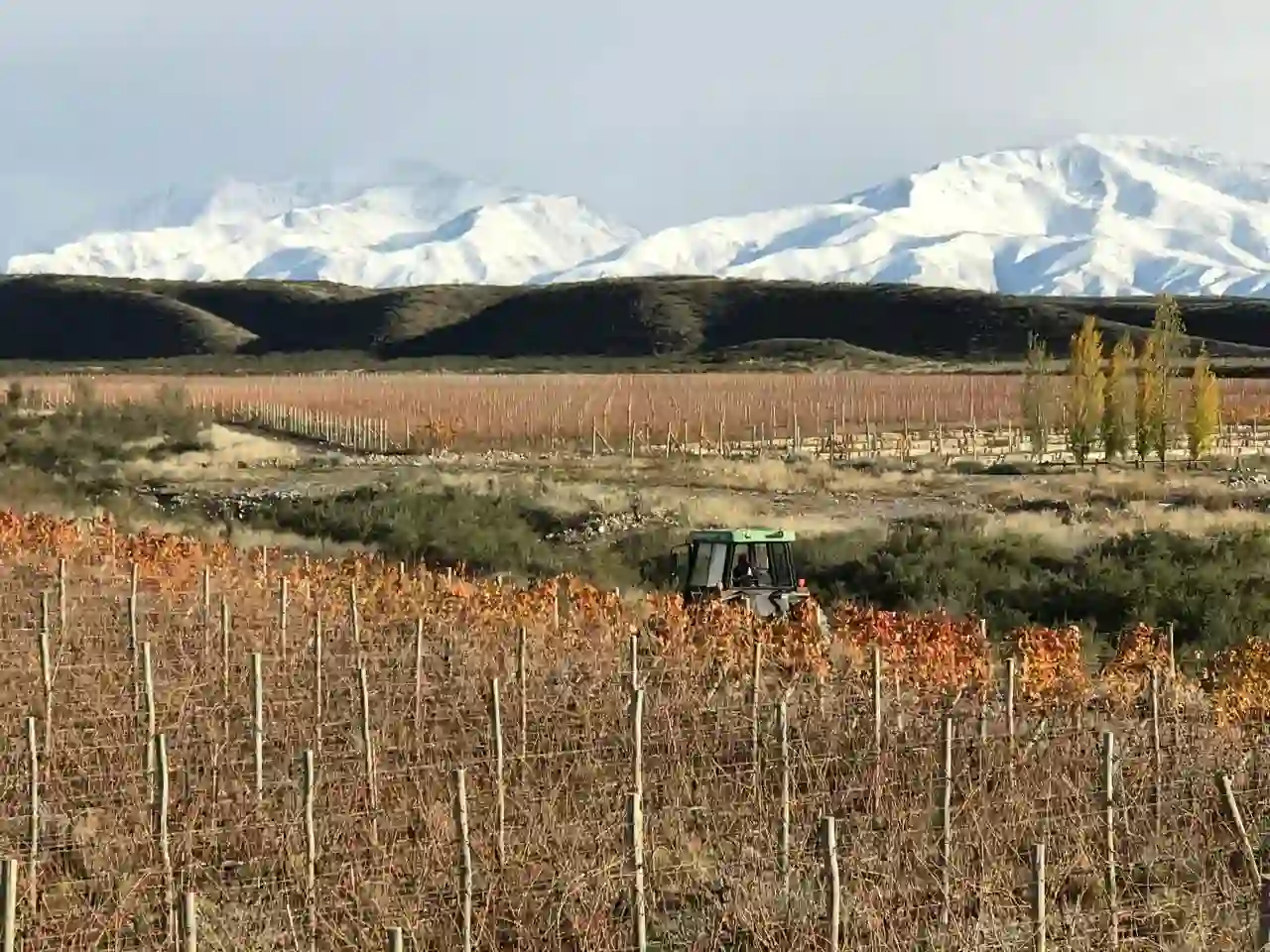 Project Mendoza Sovereign 405000 acre resource land bank